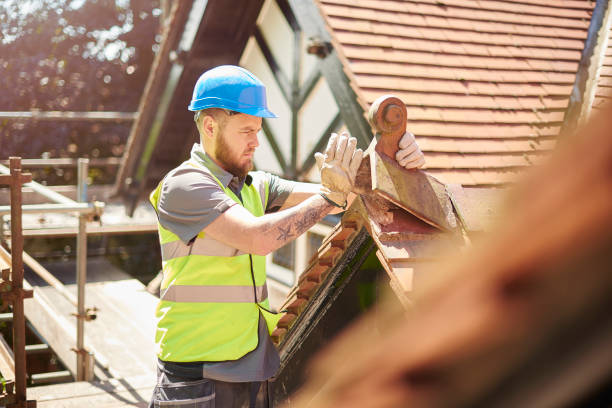 Roof Gutter Cleaning in St Joseph, MN